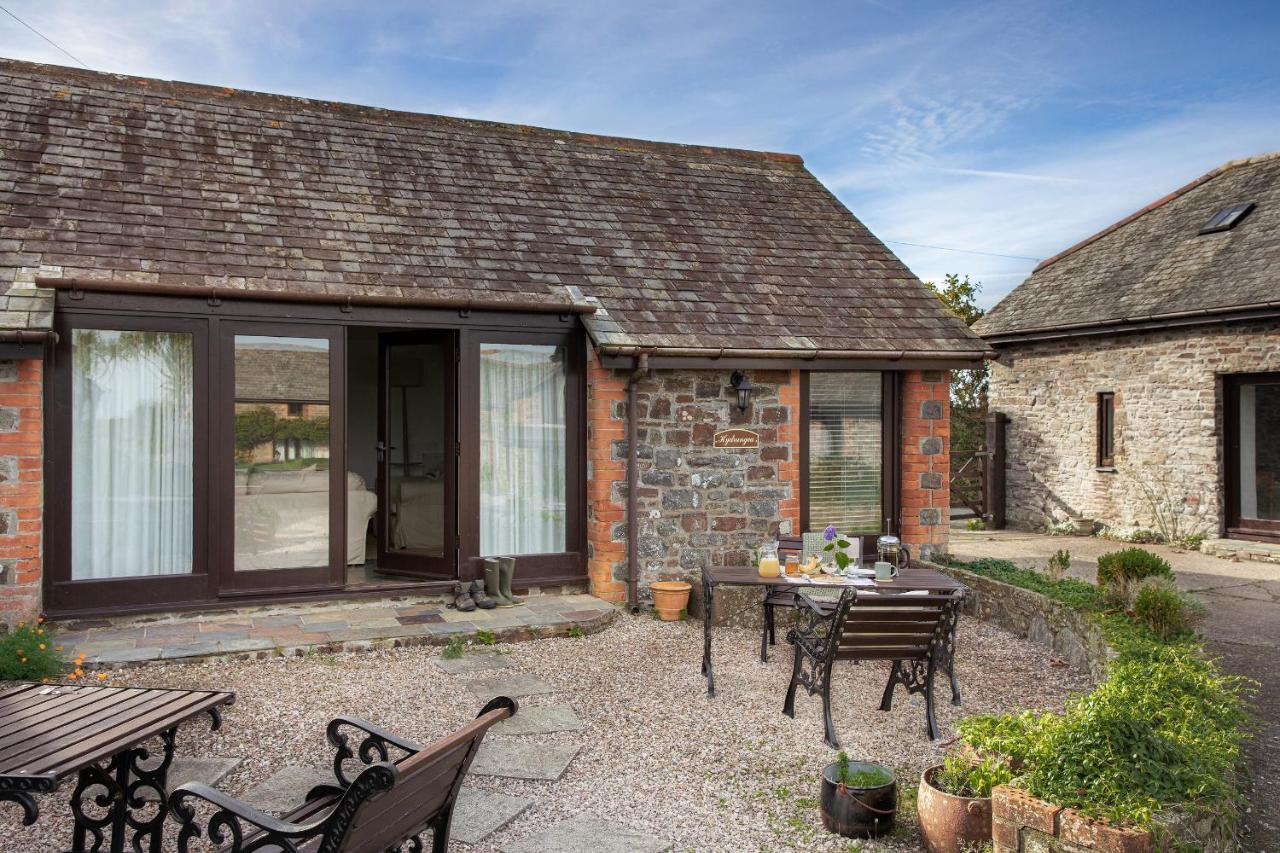 Downe Cottages Hartland Exterior photo
